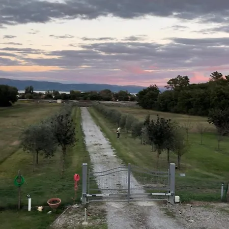 Turistico Trasimeno Ii *