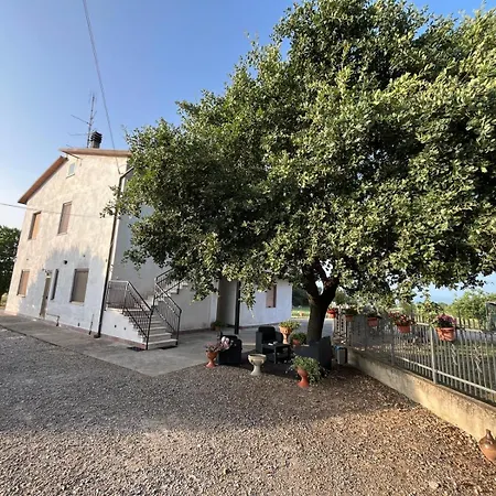 Appartamento Turistico Trasimeno Ii Castiglione Del Castiglione del Lago