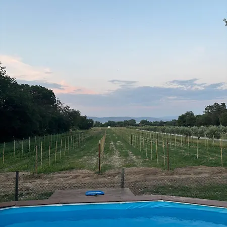 Apartamento Turistico Trasimeno Ii Castiglione Del